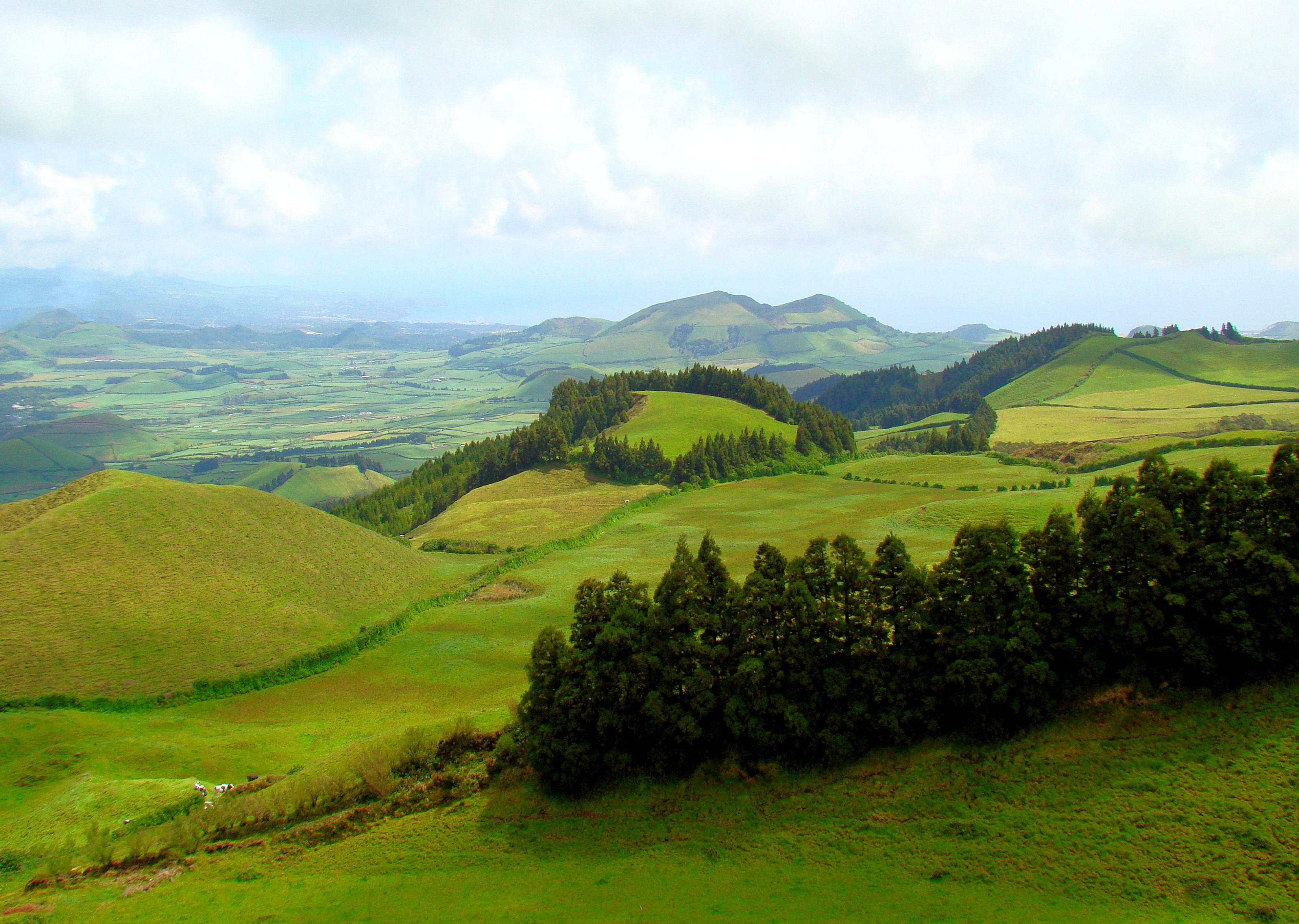 Circuit Secret des 3 îles sur 8 jours, Terceira, Faial, São Miguel.