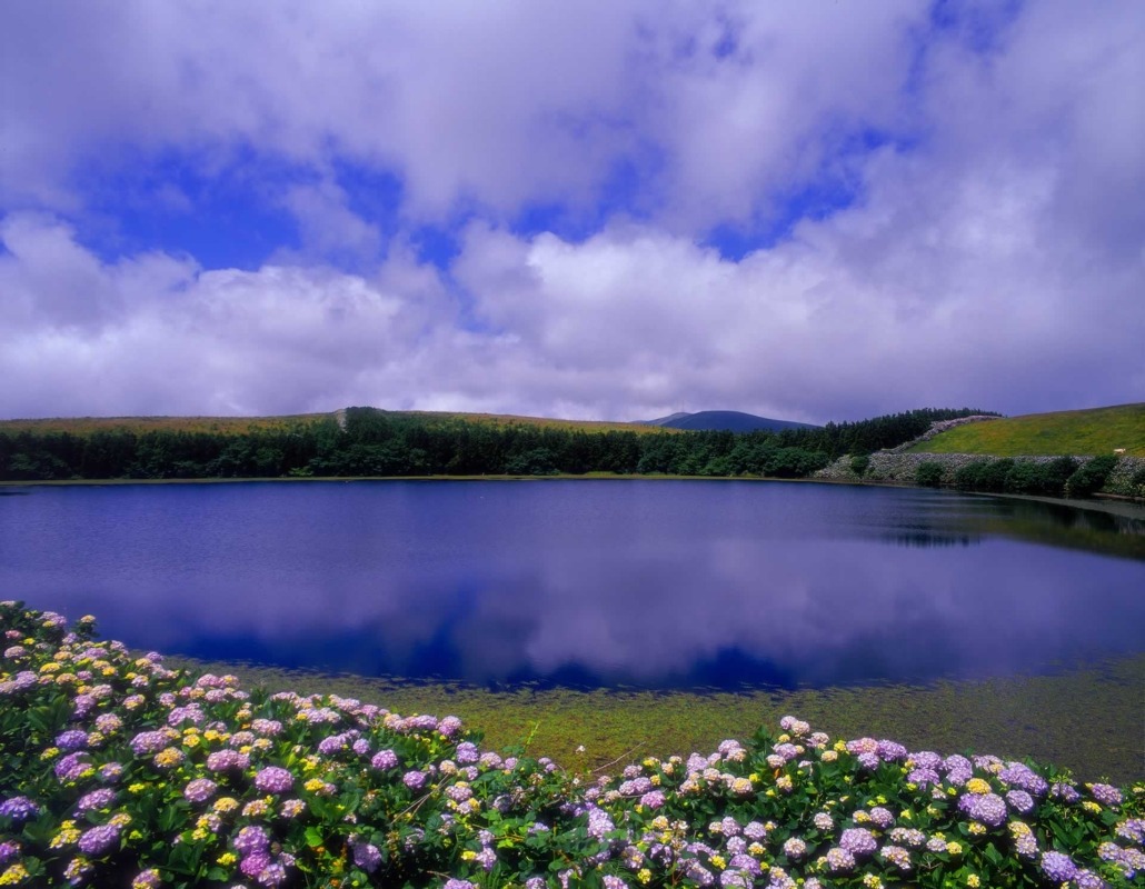 L'île de Flores, immense jardin naturel de fleurs colorées avec ses sept lacs de forme circulaire insérés dans d'anciens cratères