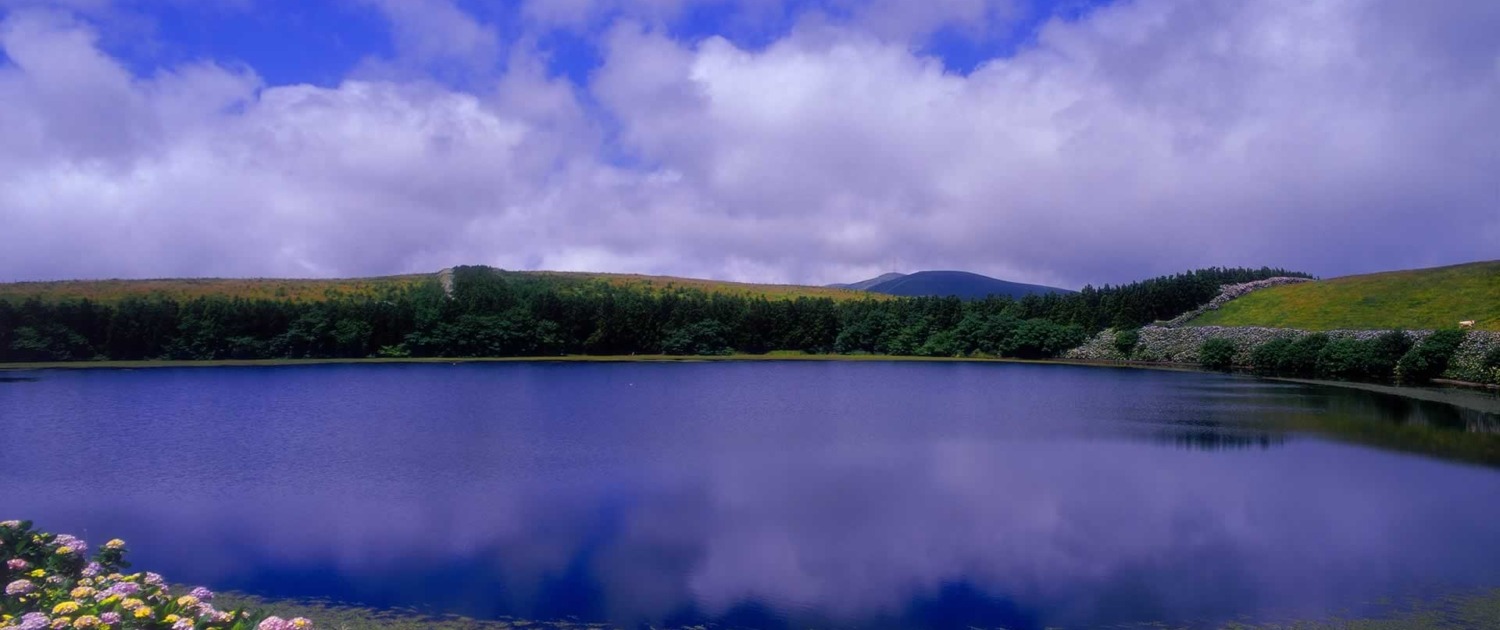 L'île de Flores, immense jardin naturel de fleurs colorées avec ses sept lacs de forme circulaire insérés dans d'anciens cratères