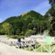 Activité géothermique à Fumarolas da Lagoa das Furnas, île de São Miguel