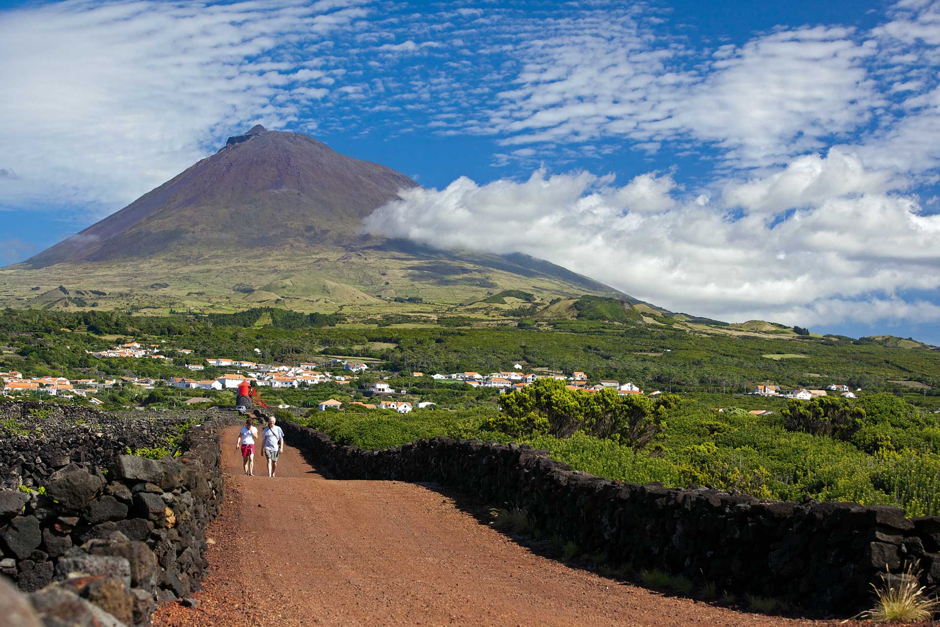 tours pico azores