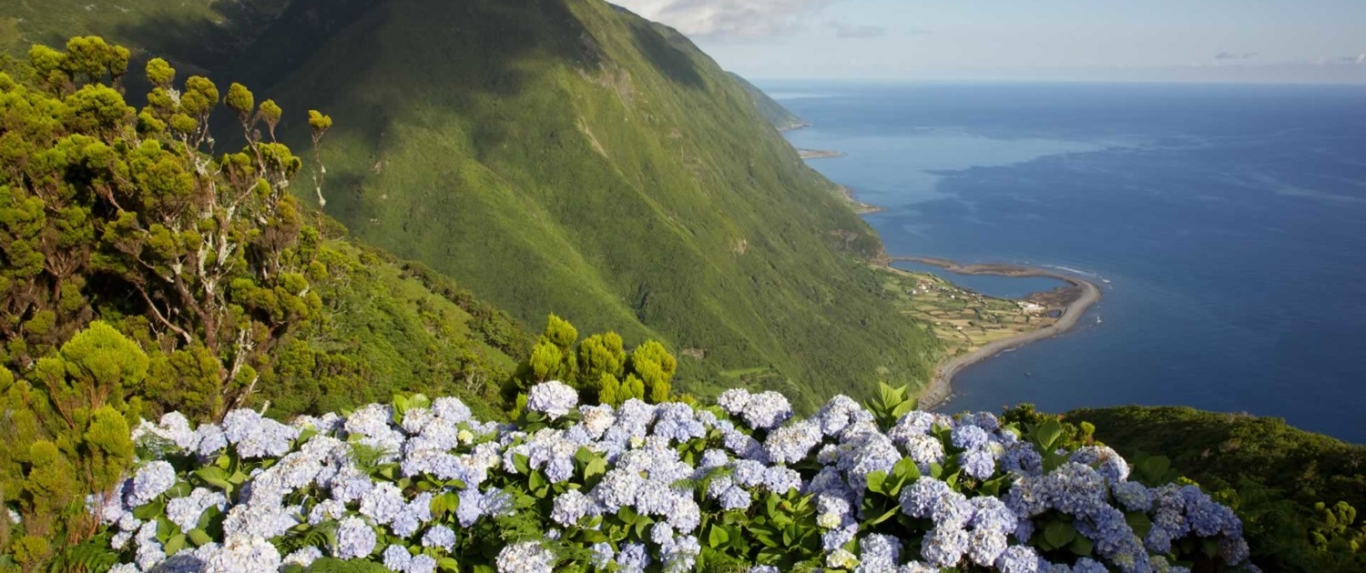 Surnommée l’île marron ou brune, São Jorge est l’île la plus montagneuse de l’archipel des Açores