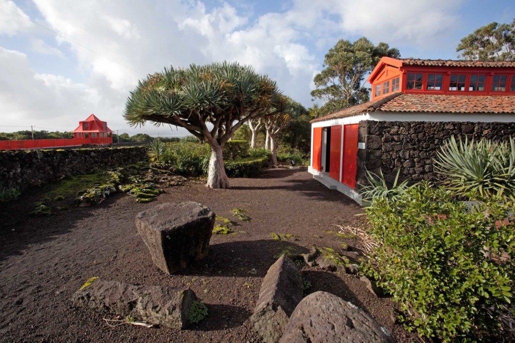 Installé dans le couvent des carmélites, le musée du vin abrite les chais et l’alambic, île de Pico