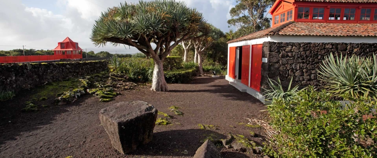 Installé dans le couvent des carmélites, le musée du vin abrite les chais et l’alambic, île de Pico