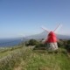 Circuit aux Açores, Le circuit des 3 îles en 8 jours, São Miguel, Faial, Pico