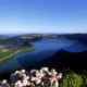 Randonnée Cumeeiras, à travers la faune exotique et endémique de l’île de São Miguel