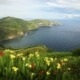 Circuit Le grand tour des Açores, São Miguel, Flores, Faial, Pico, Terceira, 5 îles en 15 jours