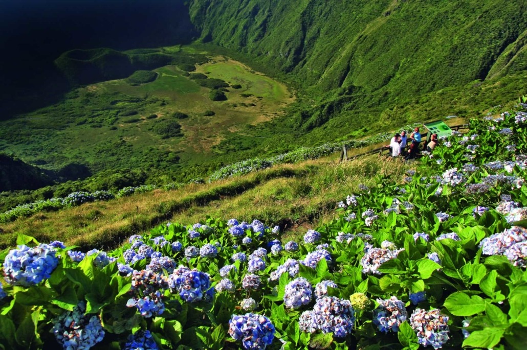 La Caldeira, cône volcanique abritant des populations rares de flore endémique, île de Faial, classée réserve naturelle