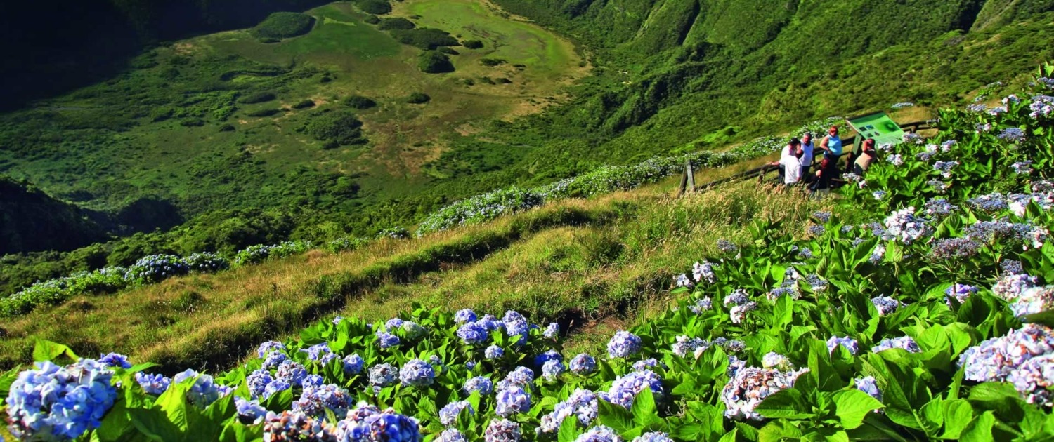 La Caldeira, cône volcanique abritant des populations rares de flore endémique, île de Faial, classée réserve naturelle