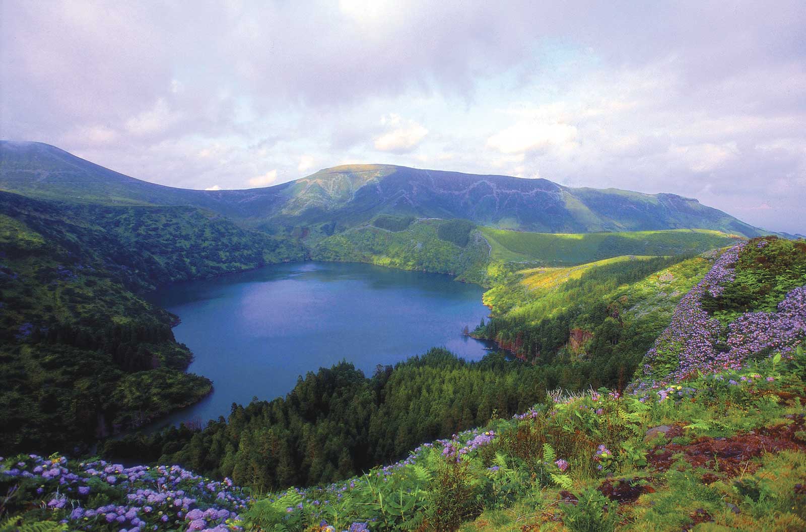 Excursion Tour de l’île de Flores: découverte des lacs et miradors