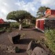 Visite de l'île de Pico en 4×4, Musées, vignobles, lacs, Journée entière