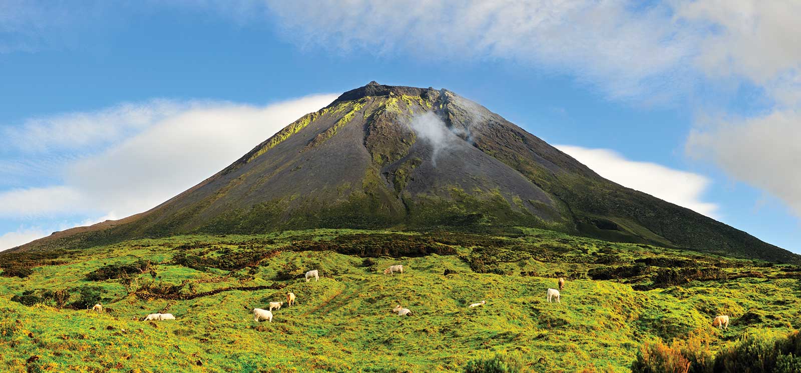 Excursion Tour de l’île de Pico, Açores