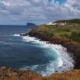 Randonnée Pico Vermelho sur l'île de Terceira à la découverte de la biodiversité des Açores